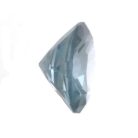 265fdc81498e9075036bb092fe5ae736.JPG