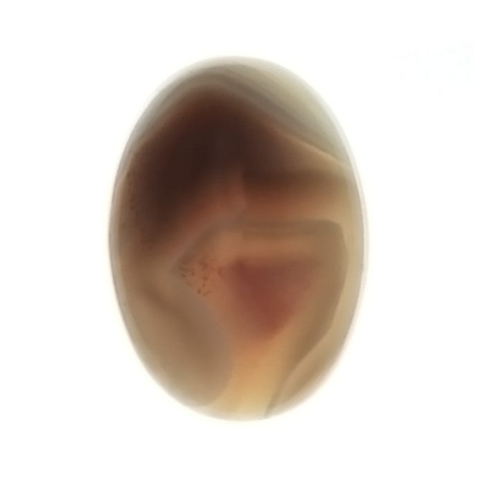 9e5efa63370acb65ff329c589568033b.JPG