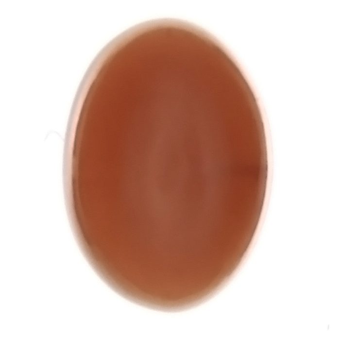 a8ada325a853e99b5f31ef6869676a6f.JPG